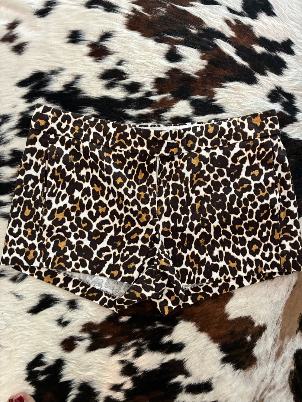 J.Crew Leopard-Accent Women's Shorts - Cream, Brown & Black